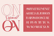 Gareso - Expressive Modern Serif, a Serif Font by Qweera Studio (Thumbnail 9 of 12)