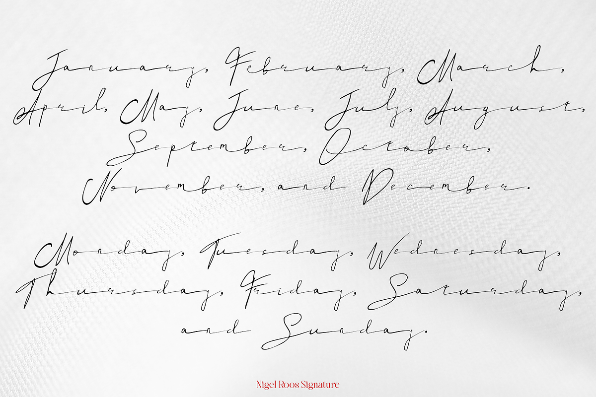 Nigel Roos Signature, a Script Font by madeDeduk (Photo 3 of 8)