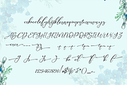Brooklyn, a Script Font by Letter-P (Thumbnail 5 of 5)