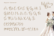 Wedding Bliss - Romantic Handwritten, a Handwritten Font by Letterara (Thumbnail 9 of 12)