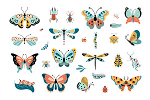 Isolated Insects, Butterfly And