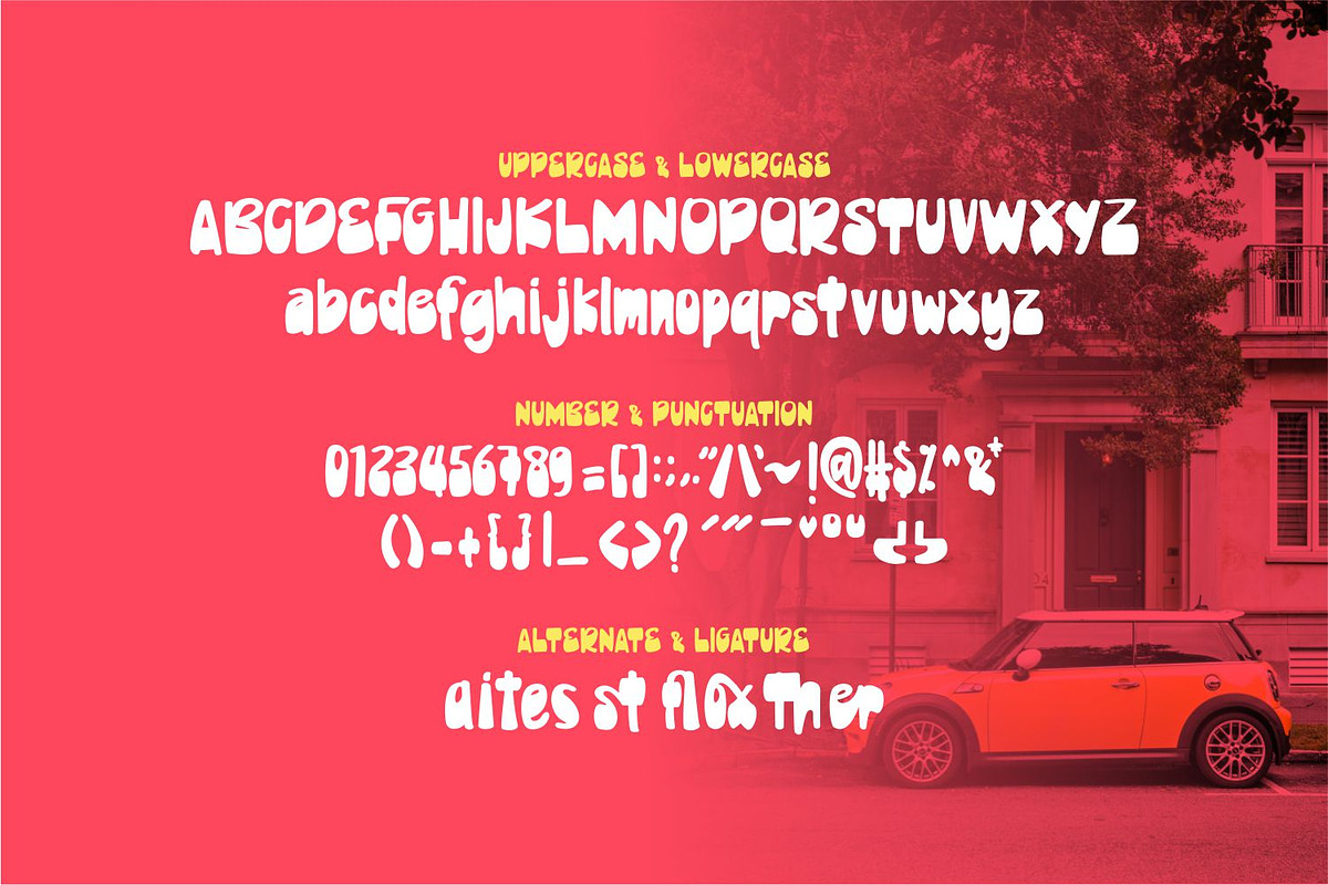 Bifloster - Display Bold Font, a Script Font by Zeatype (Photo 5 of 6)