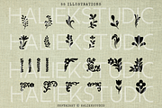55 Floral Flourishes Procreate Stamp, a Brush Add-On by HalieKStudio (Thumbnail 2 of 9)