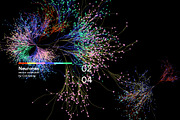 Neurones, a Healthcare Illustration by Colorpong (Thumbnail 5 of 10)