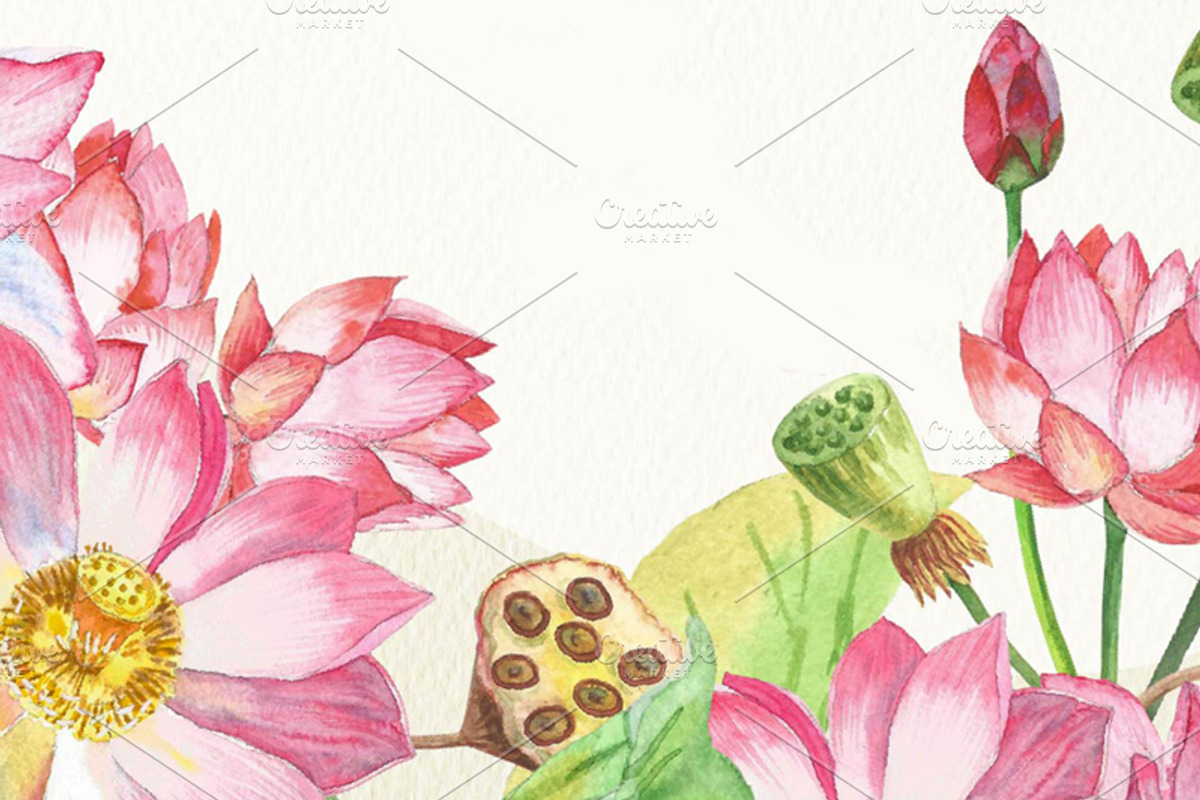 Lotus Flowers. Bouquets and Wreaths, a Decorative Illustration by Nataliapiache (Photo 3 of 5)