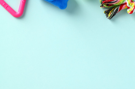 Pet toys, accessories and food on blue background. Flat lay, top view.