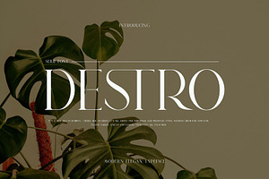 DESTRO Ligature Serif Font