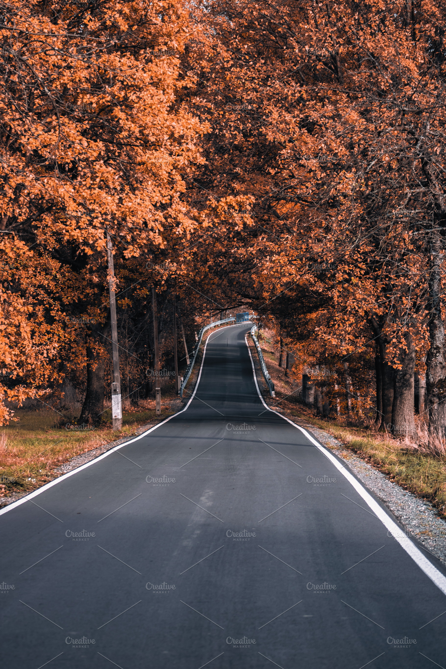 The Magic of Autumn #2, a Nature Photo by jakub_kopecky