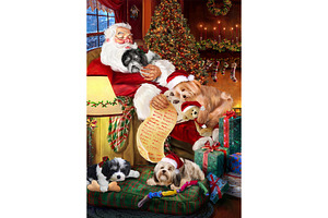 Havanese Dog With Xmas Santa Art