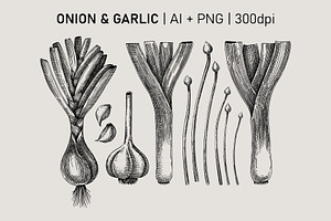 Vegetables & Herbs Vector Sketches.