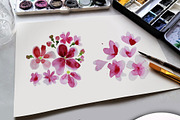 Cherry Blossom Watercolor Clipart, a Decorative Illustration by Download Graphic Art (Thumbnail 5 of 6)