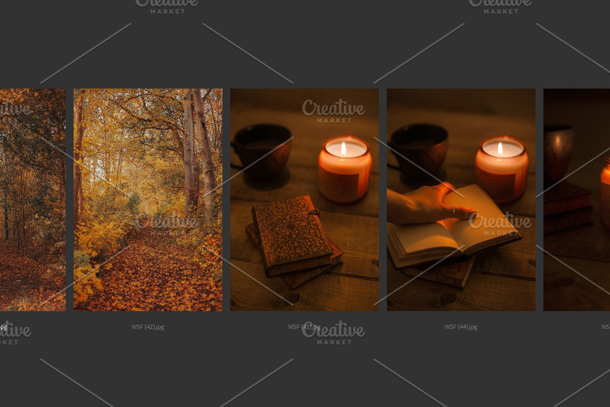 Cozy FALL Season (45 images), a Nature Photo by studiottander (Photo 8 of 9)