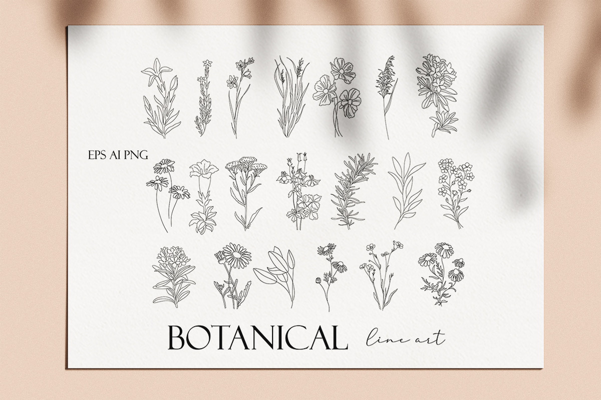 Botanical hand - drawn line art, an Illustration by velychko.ua (Photo 5 of 6)