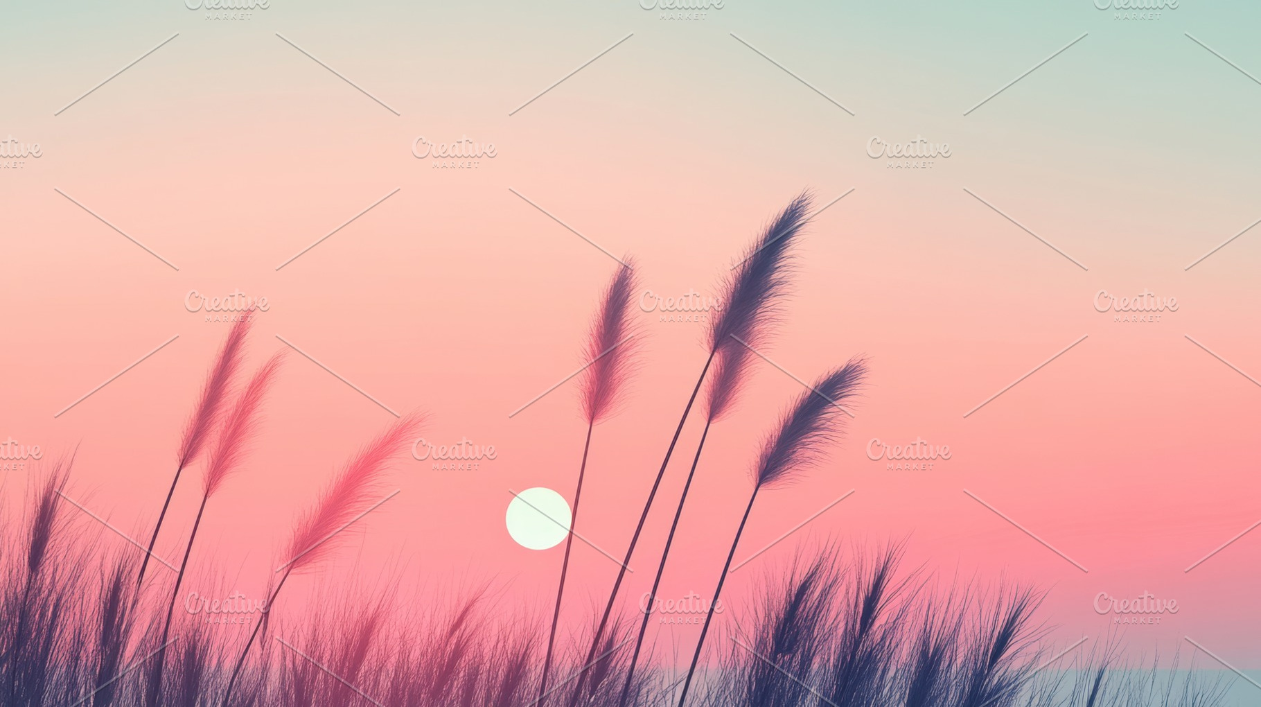 Sunset with grass silhouettes, a Photo by Beautiful things