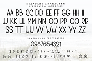 Northing, a Sans Serif Font by FreshTypeINK (Thumbnail 2 of 8)