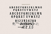 Shelten Font Vintage, a Serif Font by HansCo Studio (Thumbnail 8 of 10)
