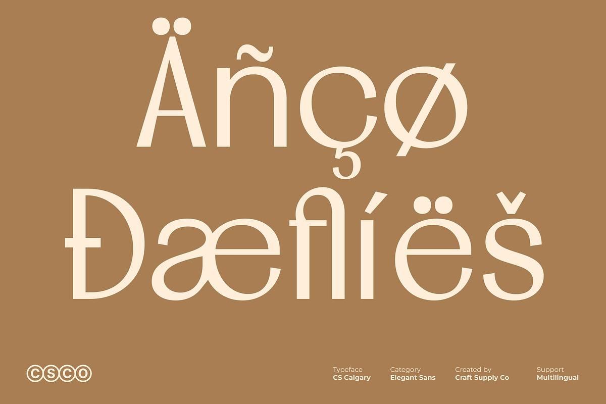 CS Calgary – Elegant Sans Serif, a Sans Serif Font by Craft Supply Co. (Photo 7 of 8)