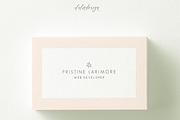 6 Elegant Business Cards-Bundle, a Business Card Template by iloladesign (Thumbnail 4 of 13)