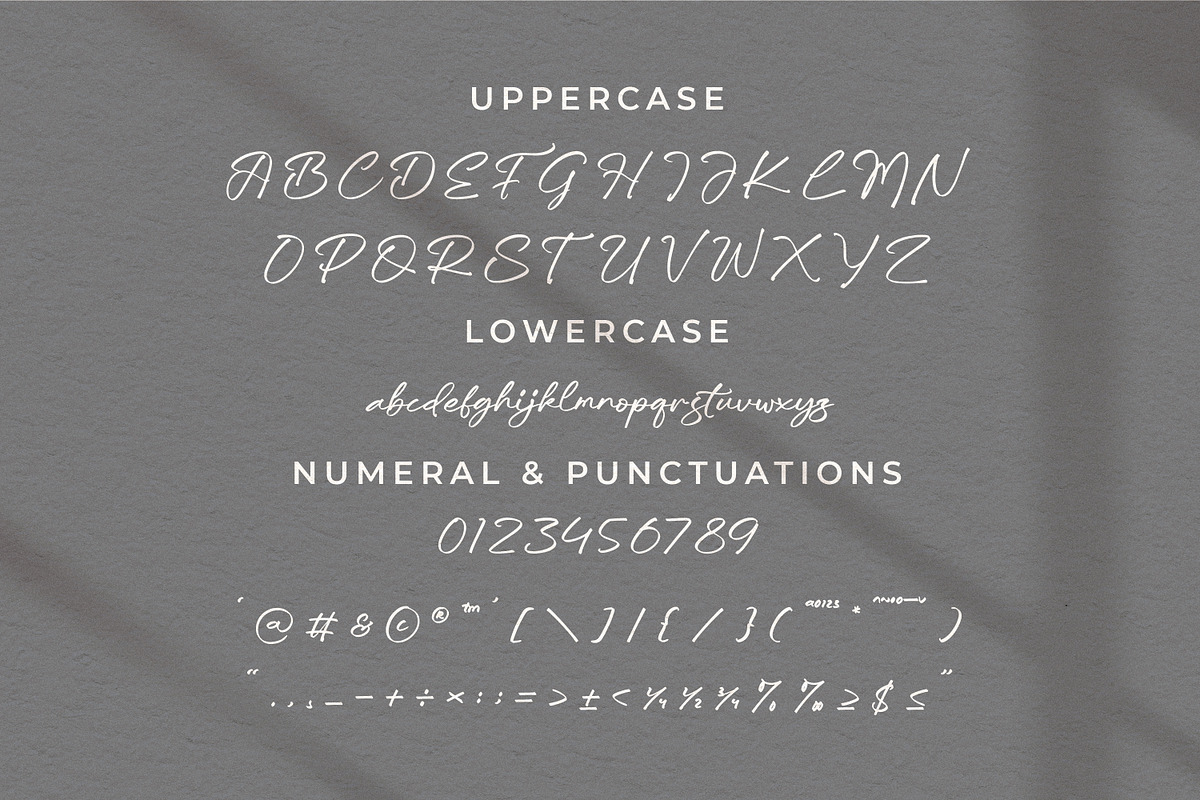 Trelasty Bettany, a Script Font by Integritype Studio (Photo 9 of 15)