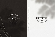 Chara - Sans Serif & Serif Duo, a Sans Serif Font by AndrewPixel (Thumbnail 6 of 8)