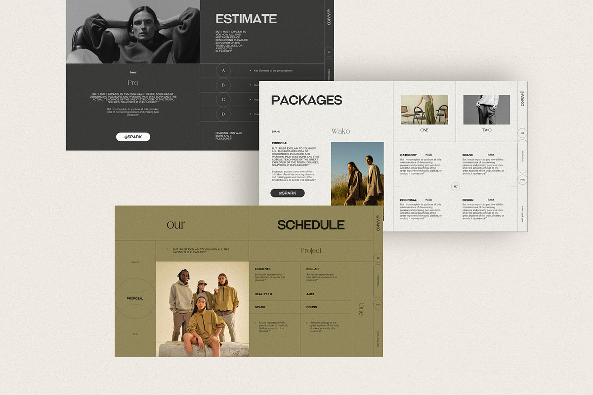 Brand Proposal Template, a Presentation Template by SparkPro (Photo 10 of 12)