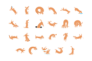 Dachshund Dash Pattern And Icons, a Pattern Graphic by Iconka (Thumbnail 8 of 9)