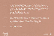 Crushider Brush, a Script Font by Aluyeah Studio (Thumbnail 13 of 14)