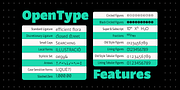 Brava Sans, a Sans Serif Font by Rafael Jordan (Thumbnail 4 of 5)