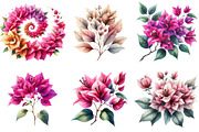 Bougainvillea Flower Clipart Bundle, an Illustration by Watercolor design (Thumbnail 4 of 4)