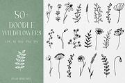 Hand drawn doodle wildflowers, a Decorative Illustration by Graphic Soul (Thumbnail 1 of 5)