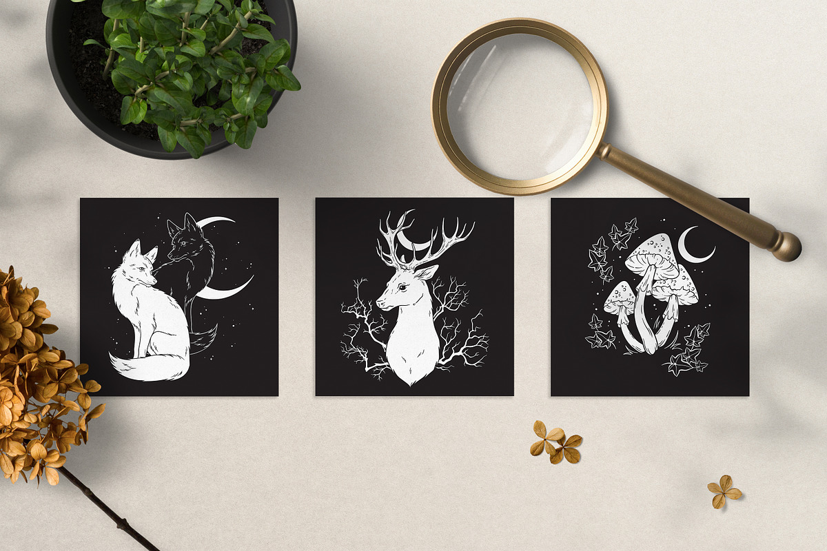 Mystery Forest - Chapter 2 - Vector, an Animal Illustration by Croisy (Photo 7 of 8)