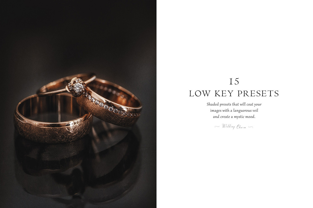 1200+ Wedding Bundle PS | LR items, an Action Add-On by Pro Add-Ons (Photo 10 of 44)