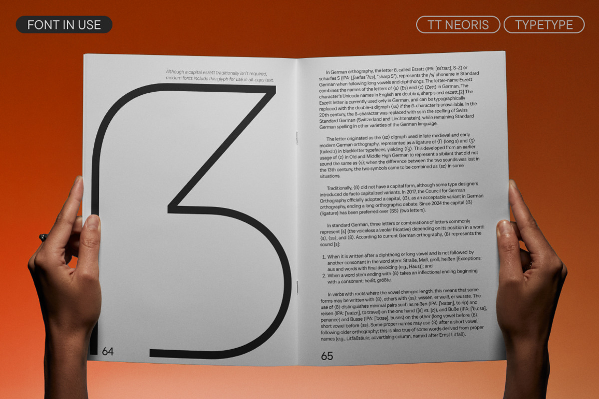 TT Neoris, a Sans Serif Font by TypeType (Photo 9 of 15)
