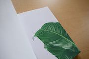 Brochure Mockup Set, a Books & Magazine Mockup by Croma Studio (Thumbnail 12 of 18)