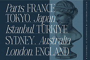 Mostlight Modern Alternate Serif, a Serif Font by Letterena Studios (Thumbnail 7 of 15)