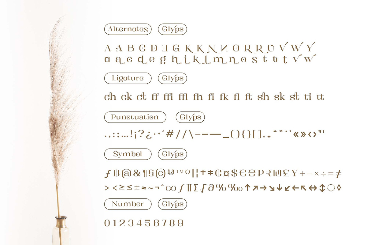 Kartikana Serif, a Serif Font by Ardyanatypes (Photo 11 of 12)