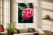 FlowerBloom - Fine Art Photography, a Photo by Marie Dumora (Thumbnail 3 of 4)