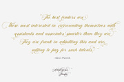 Analogous | Elegant Calligraphy, a Script Font by Analogous (Thumbnail 6 of 14)