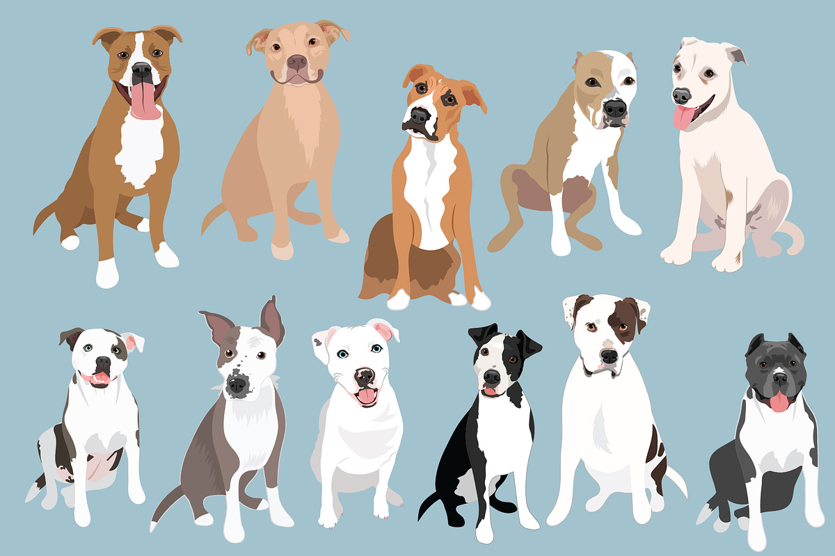 Pitbull Dogs Editable Vector Art, an Illustration by Putnam Road Art (Photo 2 of 3)