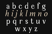 Serelia Serif Family | Intro 60% OFF, a Serif Font by Lettertype Studio (Thumbnail 10 of 17)