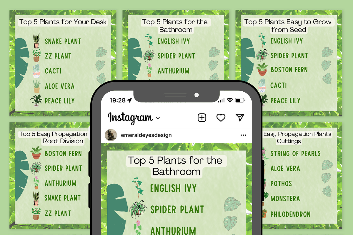 10 Canva Plant Top 5s Instagram Post, a Social Media Template by Emerald Eyes Design (Photo 4 of 5)