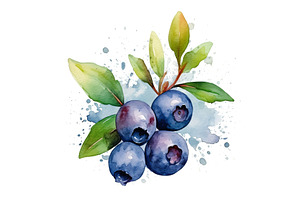 Fresh Organic Huckleberry Berry