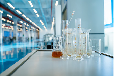 Equipment for the analysis of flasks