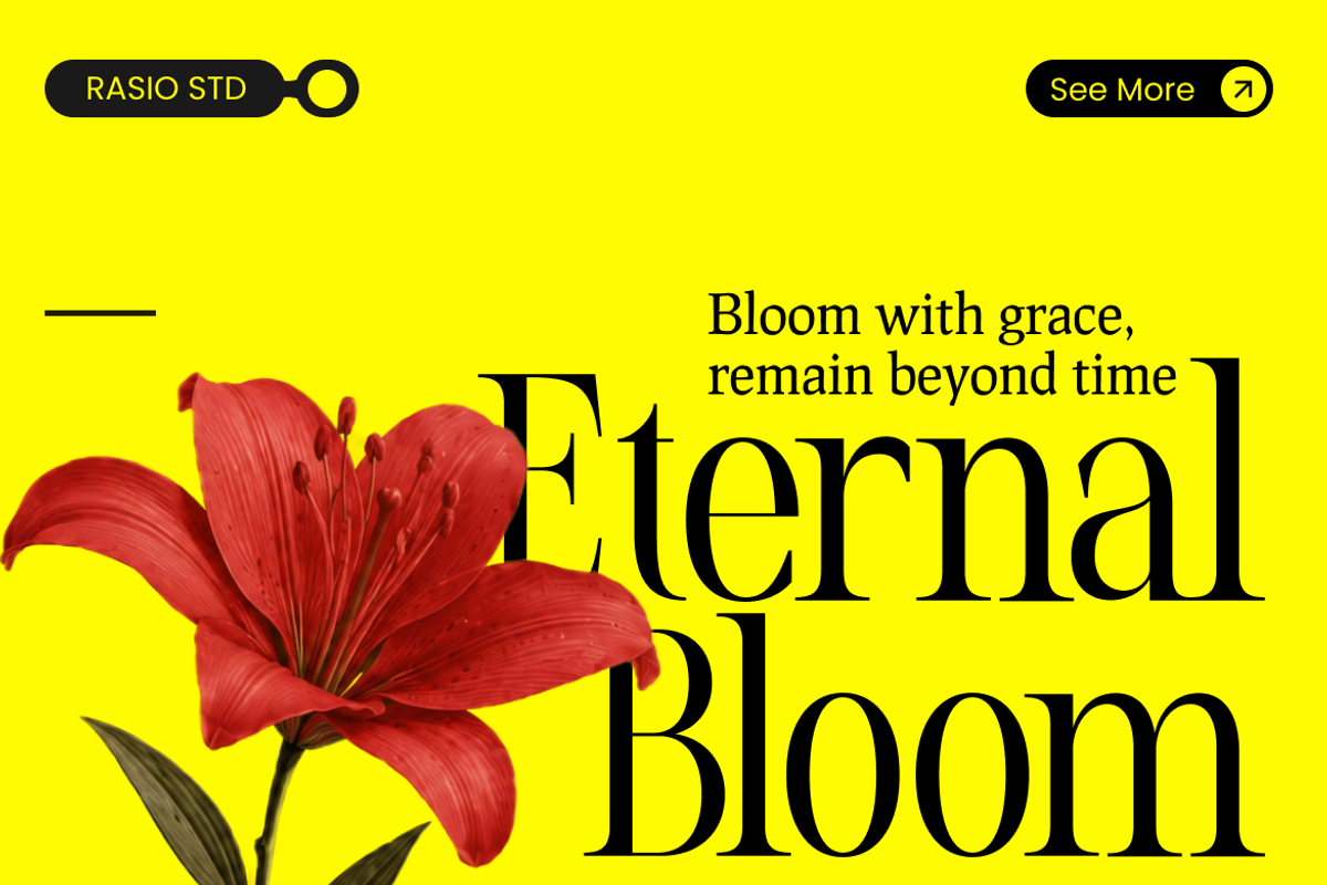 Evoire Modern Editorial Serif Font, a Serif Font by Rasio Studio (Photo 9 of 11)