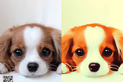 Cartoon Painting Effect Actions, an Action Add-On by JasGraphicTools (Thumbnail 18 of 19)