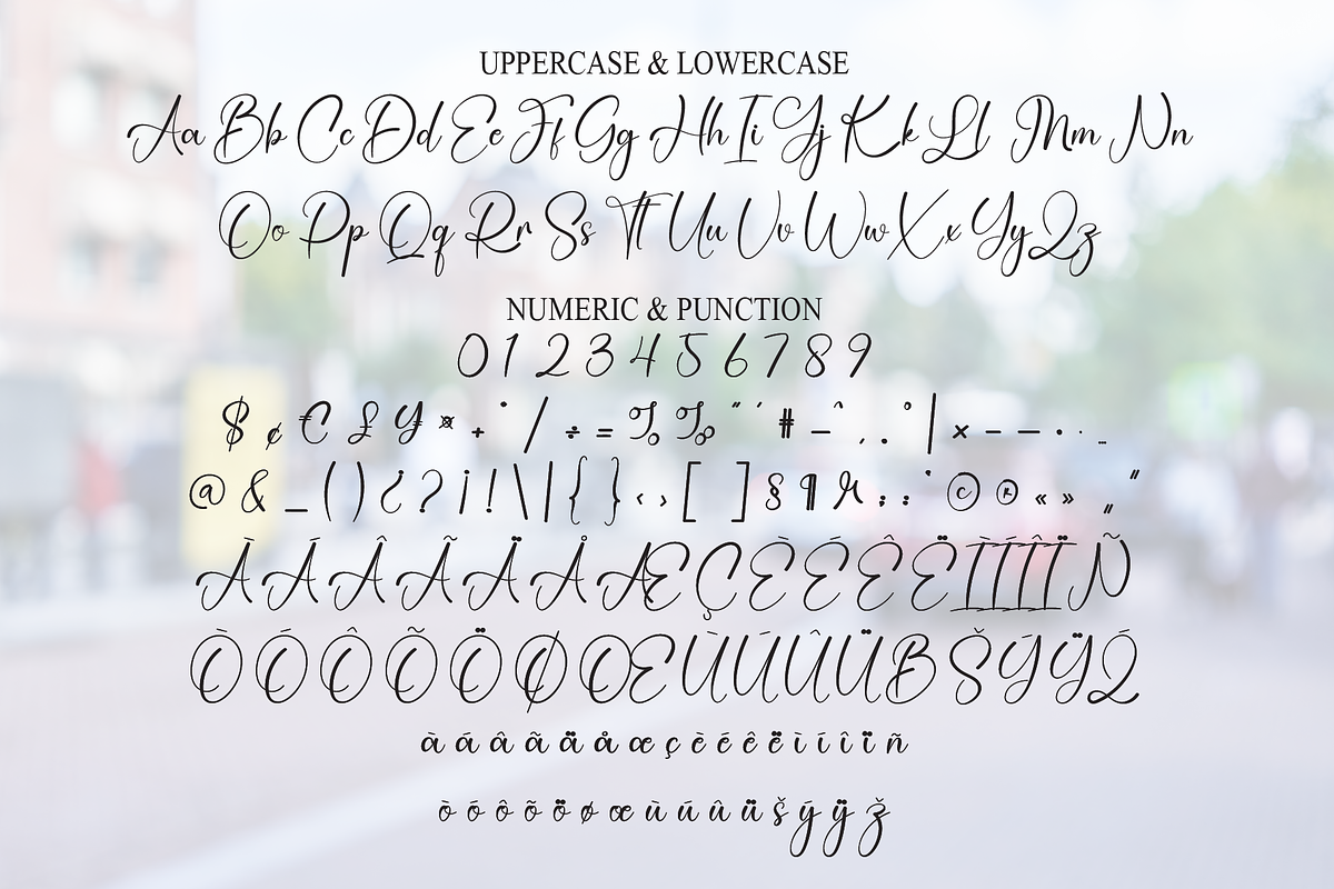 Amsterdam | Script Font, a Handwritten Font by Scratchones (Photo 7 of 8)