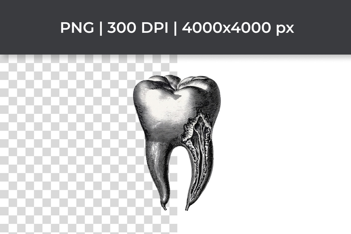 Dark Vintage Tooth Clipart Bundle, a Healthcare Illustration by InkyQueenArt (Photo 2 of 5)