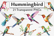 Hummingbird Watercolor Clipart, an Animal Illustration by milkghost (Thumbnail 1 of 2)