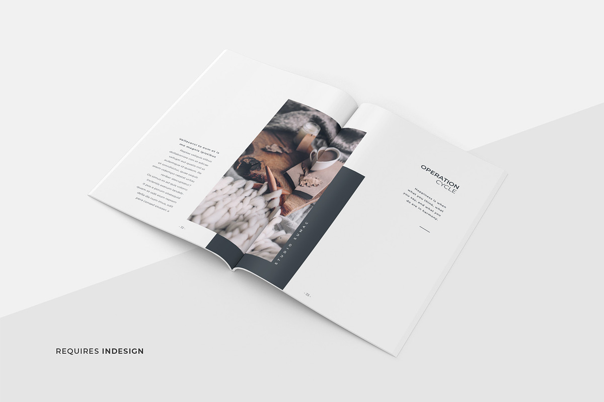 Hickory Proposal Template, a Brochure Template by Studio Sumac (Photo 3 of 8)