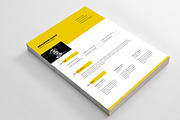 Polaris Resume Template, a Resume Template by Nina Shaw (Thumbnail 9 of 18)